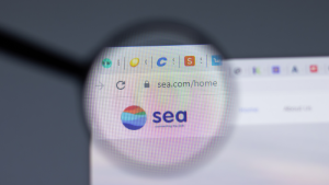 Sea Limited의 로고는 돋보기를 통해 웹 브라우저에서 볼 수 있습니다.